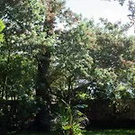 Pyla: Feel-good Family Home, 2 Min Walk From * La Teste-de-Buch