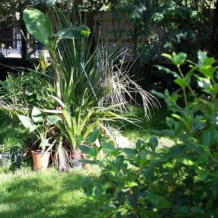 Villa Pyla: Feel-good Family Home, 2 Min Walk From
