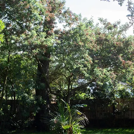 Pyla: Feel-good Family Home, 2 Min Walk From * La Teste-de-Buch